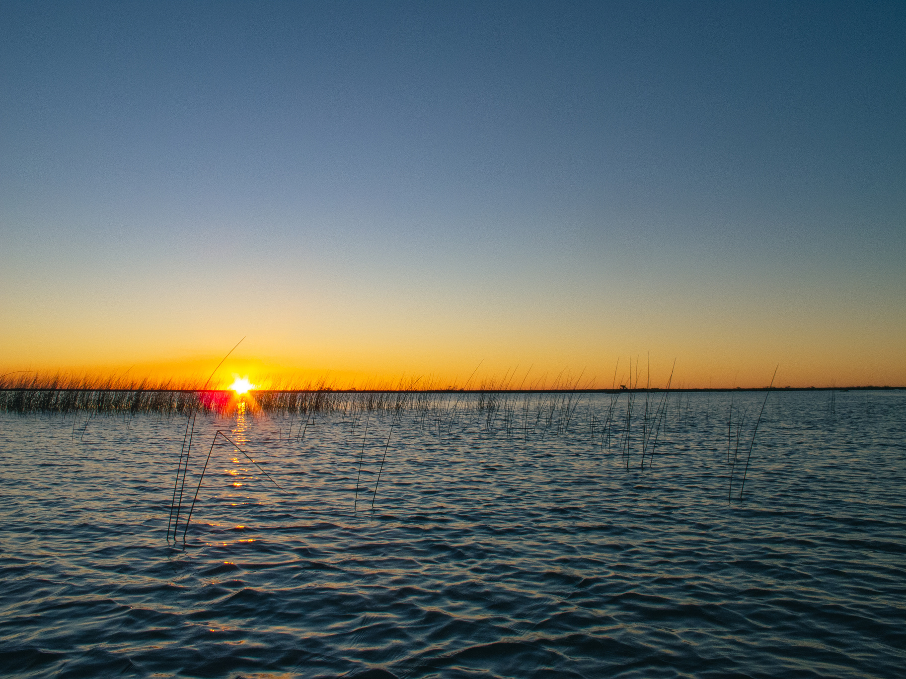 Nature in the esteros del ibera in corrientes